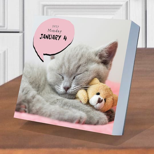 2027 Cat A Day Daily Desktop Calendar